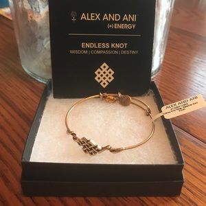 Alex and Ani Endless Knot bangle bracelet NIB